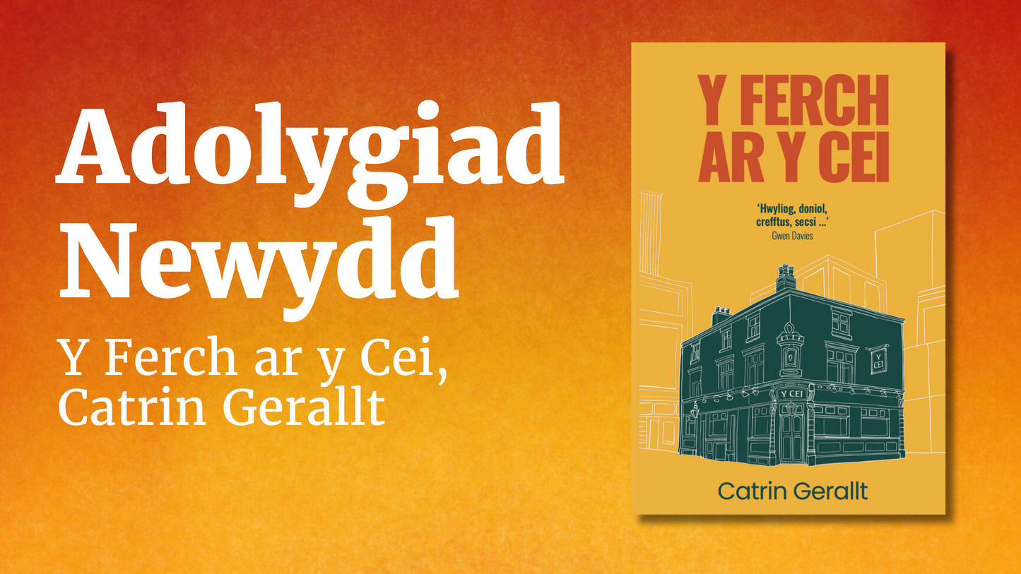 Adolygiad o Y Ferch ar y Cei