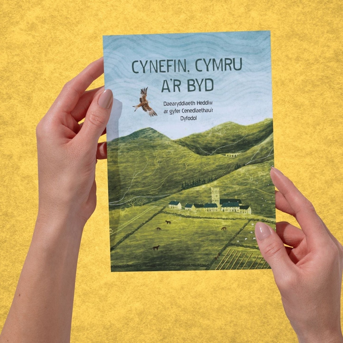 Cynefin, Wales and the World