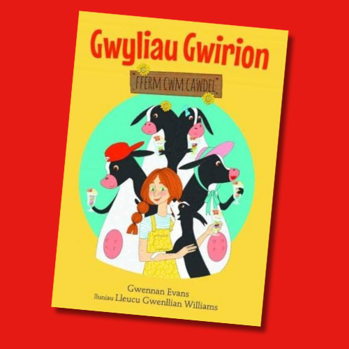 Gwyliau Gwirion