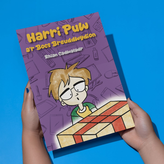 Harri Puw a’r Bocs Breuddwydion gan Rhian Cadwaladr