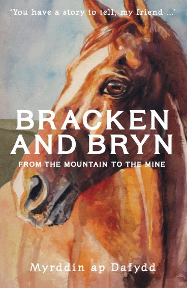 Bracken and Bryn - from the mountain to the mine