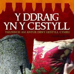 Ddraig yn y Cestyll, Y