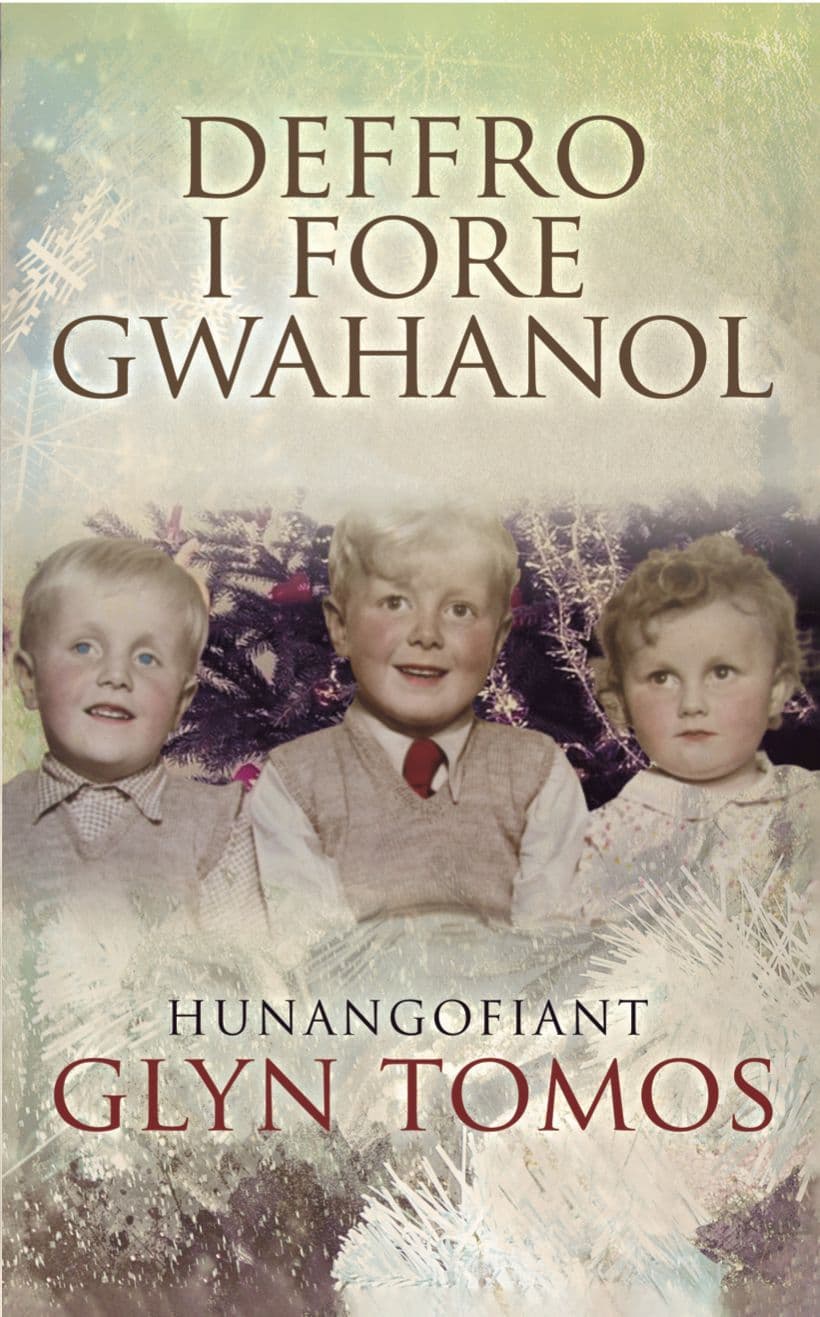 Deffro i Fore Gwahanol - Hunangofiant Glyn Tom