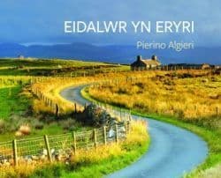 Eidalwr yn Eryri