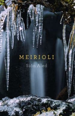Meirioli