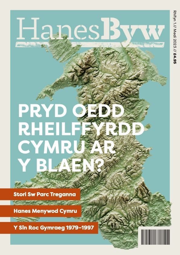 Tanysgrifiad Hanes Byw – Gwasg Carreg Gwalch