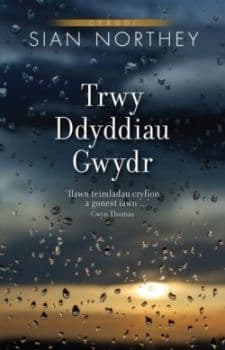 Trwy Ddyddiau Gwydr