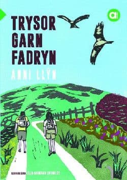 Trysor Garn Fadryn