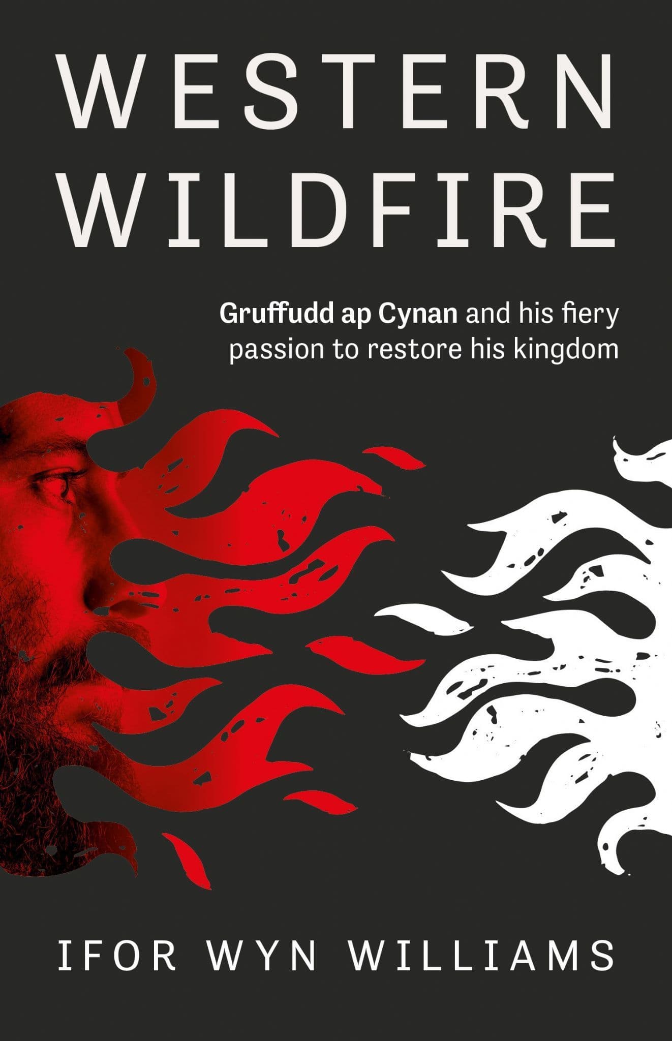Western Wildfire