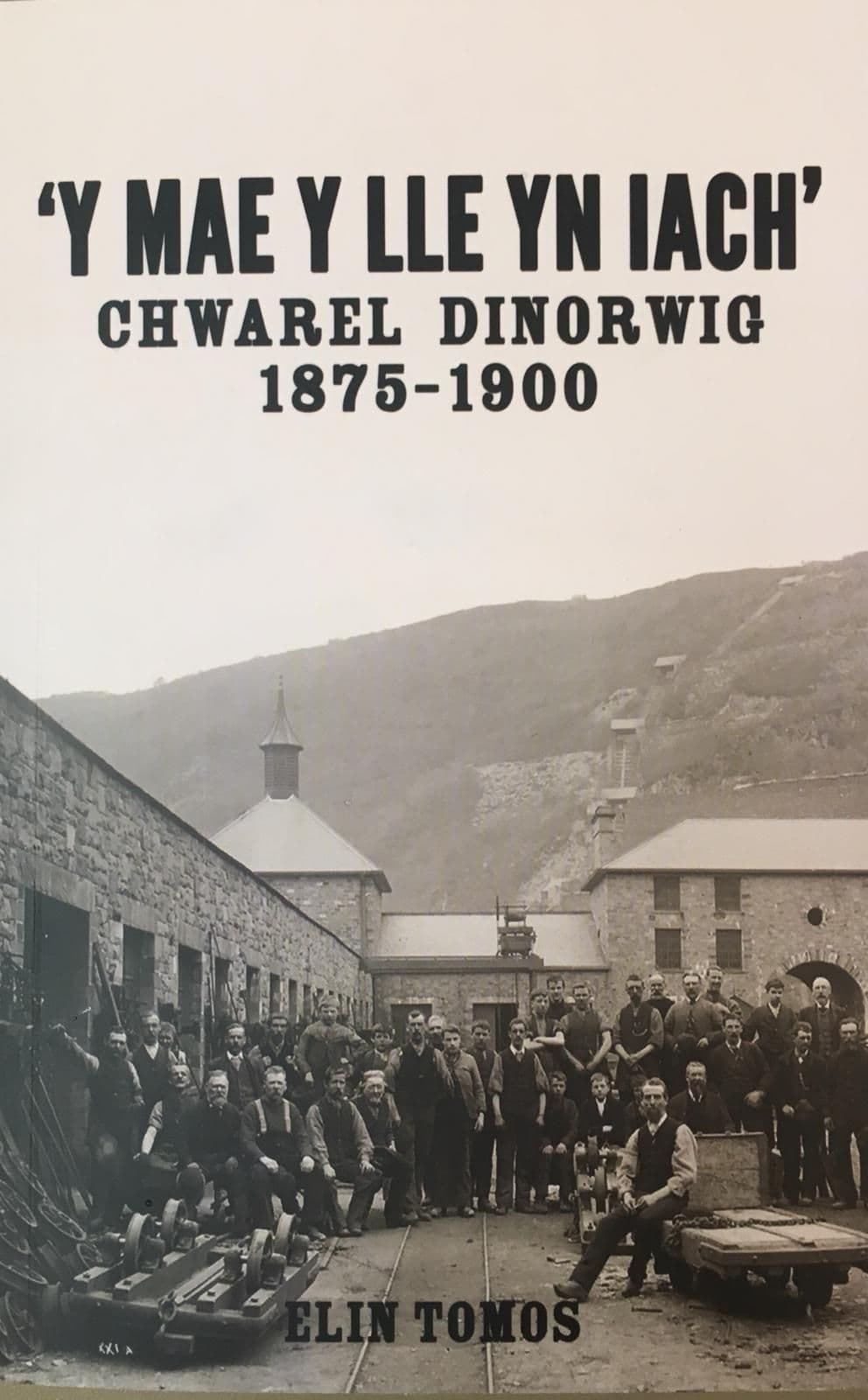 'Y Mae y Lle yn Iach' - Chwarel Dinorwig 1875-1900